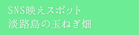 SNS映えスポット 淡路島の玉ねぎ畑