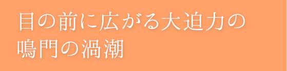 地上から最接近!鳴門の渦潮